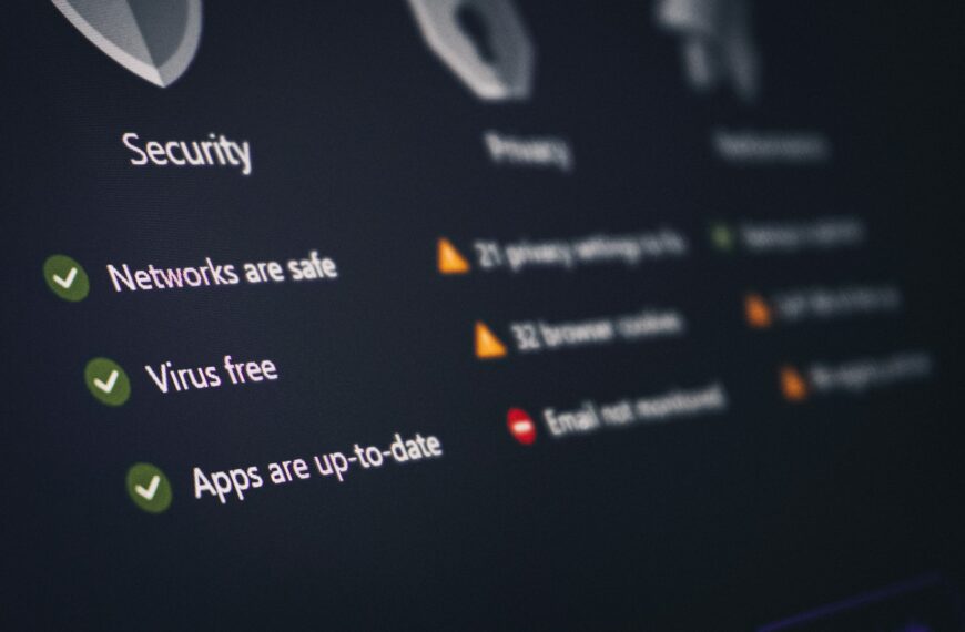 vulnerability assessment vs. penetration testing services